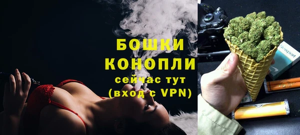 ГАЛЛЮЦИНОГЕННЫЕ ГРИБЫ Волосово