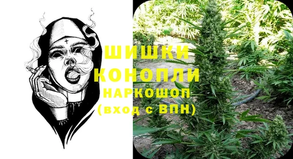 ГАЛЛЮЦИНОГЕННЫЕ ГРИБЫ Волосово