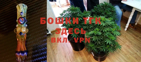 ГАЛЛЮЦИНОГЕННЫЕ ГРИБЫ Волосово
