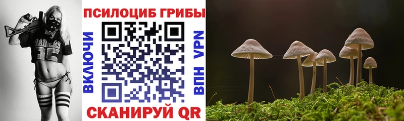 Купить закладки  Вихоревка  Псилоцибиновые грибы мухоморы 